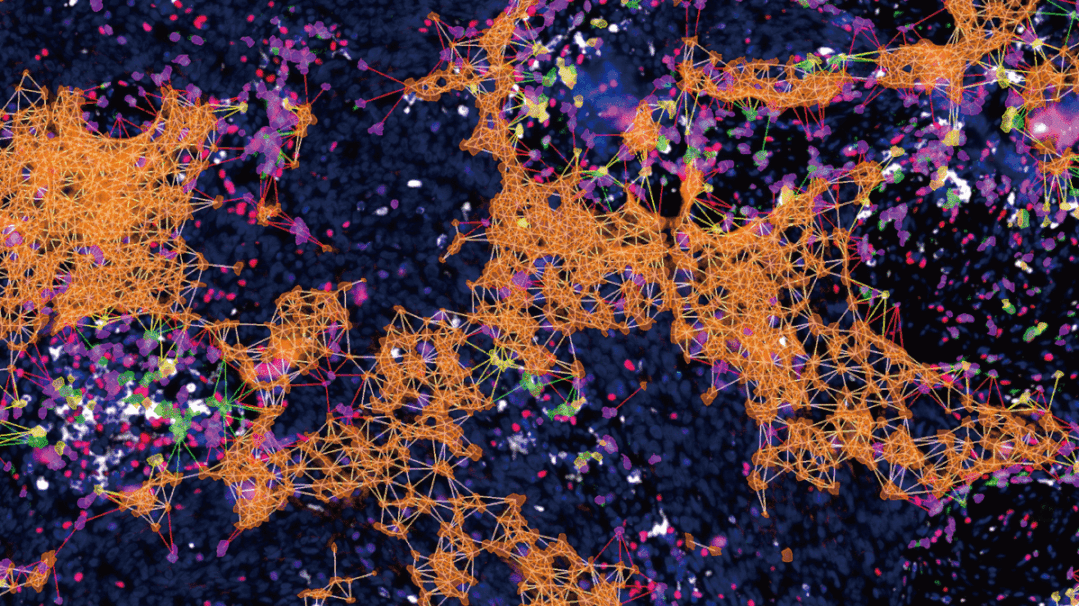 1649297823487546.gif 640.gif