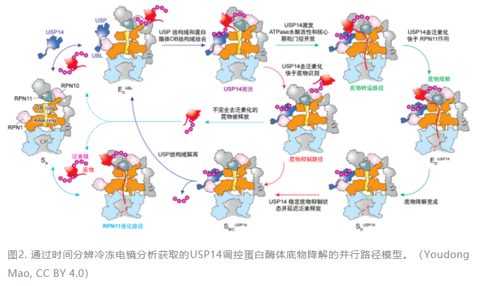 1671172934795009.png image.png