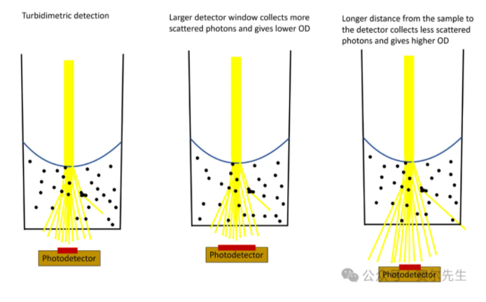 1713343620958350.png image.png